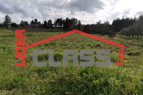 Terra a Vila Flor, Braganca, Vila Flor - € 12.500 | Ref: SÒL_1228 - foto 13