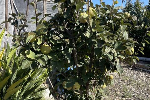 Villa i Pachino, Siracusa, Pachino - € 45.000 | Ref: NMU-1700 - foto 11