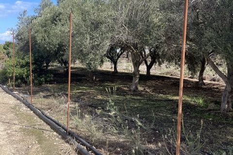 Villa i Pachino, Siracusa, Pachino - € 45.000 | Ref: NMU-1700 - foto 12