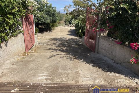 Villa i Pachino, Siracusa, Pachino - € 45.000 | Ref: NMU-1700 - foto 13