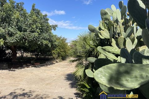 Villa i Pachino, Siracusa, Pachino - € 45.000 | Ref: NMU-1700 - foto 14