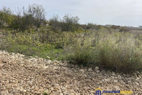 Helårsgrund i Noto, Siracusa, Noto - € 15.000 | Ref: PFA-1699 - foto 2