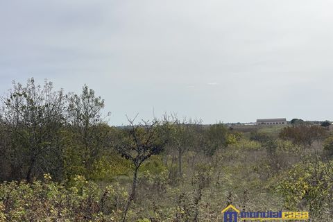 Helårsgrund i Noto, Siracusa, Noto - € 15.000 | Ref: PFA-1699 - foto 3