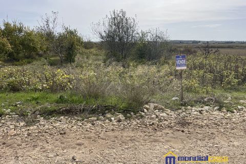 Helårsgrund i Noto, Siracusa, Noto - € 15.000 | Ref: PFA-1699 - foto 4