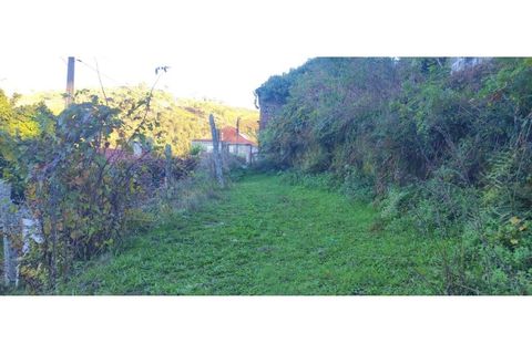 Helårsgrund i Arcos de Valdevez, Viana do Castelo, Arcos de Valdevez - € 23.000 | Ref: 1074-117 - foto 5
