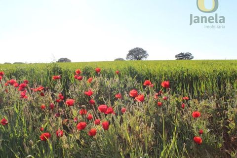 Erhvervsejendom i Beja, Beja, Beja - € 890.000 | Ref: HOT14064 - foto 17