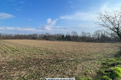 Terra a Passirano, Brescia, Passirano - € 190.000 | Ref: pass.13.cg - foto 4
