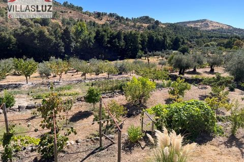 Villa i Guarda, Guarda, Guarda - € 639.000 | Ref: AO-VIV-0187 - foto 7