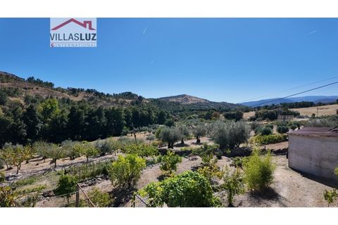 Villa i Guarda, Guarda, Guarda - € 639.000 | Ref: AO-VIV-0187 - foto 16