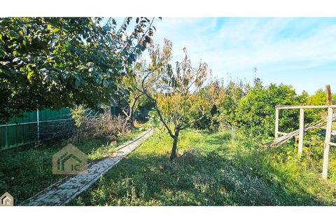 Villa i Alcobaca, Leiria, Alcobaca - € 345.000 | Ref: IC - 0409 - foto 22