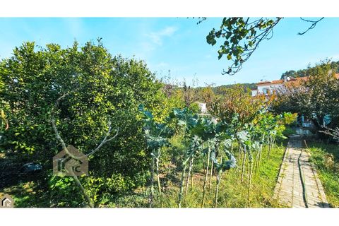 Villa i Alcobaca, Leiria, Alcobaca - € 345.000 | Ref: IC - 0409 - foto 23