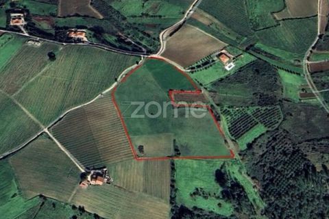 Helårsgrund i Alenquer, Lisbon, Alenquer - € 99.840 | Ref: ZMPT581927 - foto 1