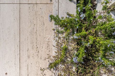 Villa i Canidelo, Porto, Canidelo - € 2.550.000 | Ref: ZMPT581425 - foto 46