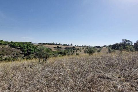 Terra a Santarem, Santarem, Santarem - € 24.000 | Ref: 146994 - foto 2