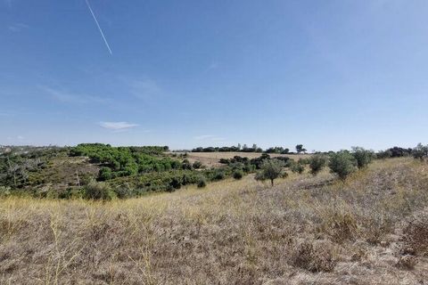 Terra a Santarem, Santarem, Santarem - € 24.000 | Ref: 146994 - foto 3
