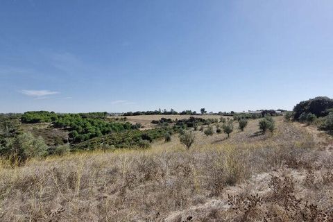 Terra a Santarem, Santarem, Santarem - € 24.000 | Ref: 146994 - foto 4