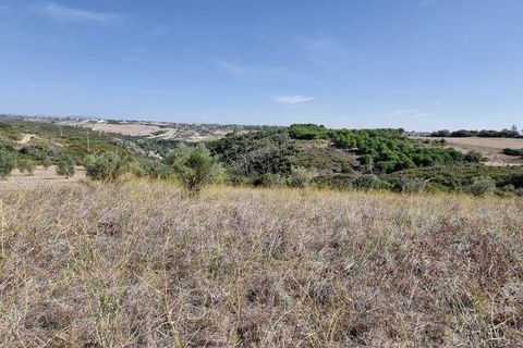 Terra a Santarem, Santarem, Santarem - € 24.000 | Ref: 146994 - foto 5