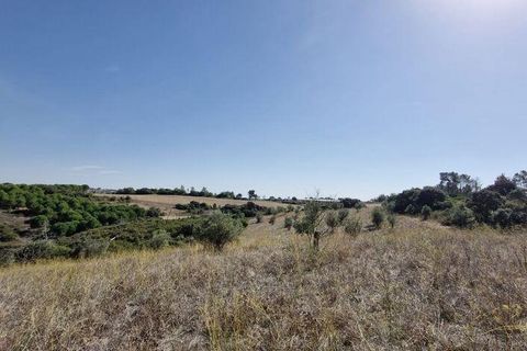 Terra a Santarem, Santarem, Santarem - € 24.000 | Ref: 146994 - foto 6