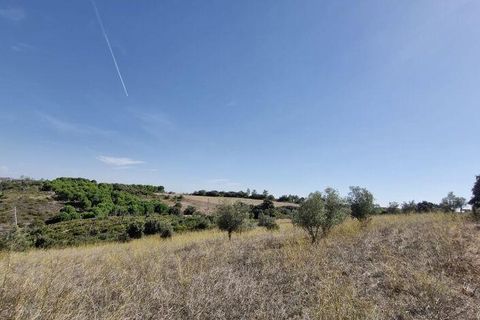 Terra a Santarem, Santarem, Santarem - € 24.000 | Ref: 146994 - foto 7