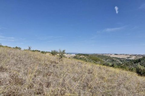Terra a Santarem, Santarem, Santarem - € 24.000 | Ref: 146994 - foto 8