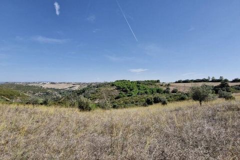 Terra a Santarem, Santarem, Santarem - € 24.000 | Ref: 146994 - foto 9