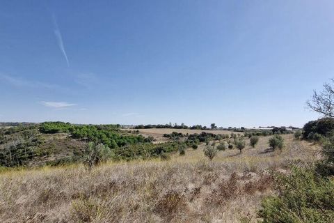 Terra a Santarem, Santarem, Santarem - € 24.000 | Ref: 146994 - foto 10