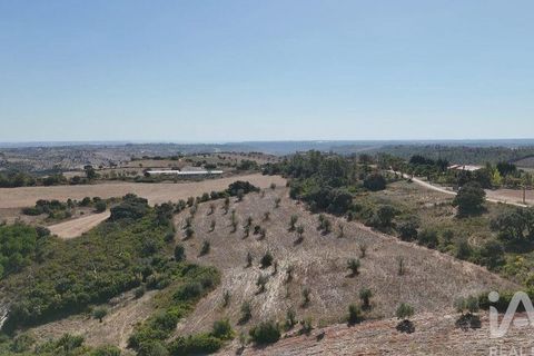 Terra a Santarem, Santarem, Santarem - € 24.000 | Ref: 146994 - foto 11