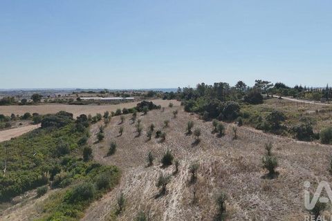 Terra a Santarem, Santarem, Santarem - € 24.000 | Ref: 146994 - foto 12