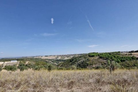 Terra a Santarem, Santarem, Santarem - € 24.000 | Ref: 146994 - foto 13