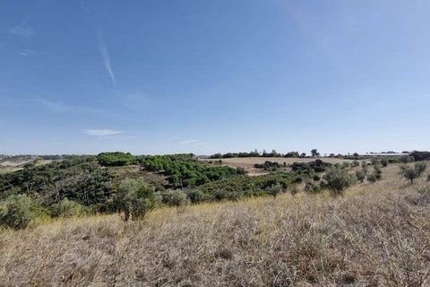 Terra a Santarem, Santarem, Santarem - € 24.000 | Ref: 146994 - foto 14
