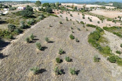 Terra a Santarem, Santarem, Santarem - € 24.000 | Ref: 146994 - foto 15