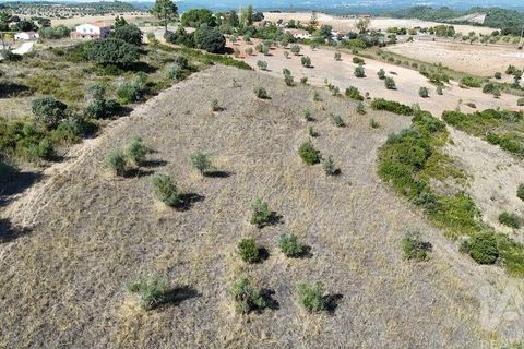 Terra a Santarem, Santarem, Santarem - € 24.000 | Ref: 146994 - foto 16