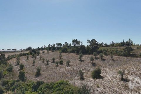 Terra a Santarem, Santarem, Santarem - € 24.000 | Ref: 146994 - foto 17