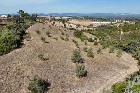 Terra a Santarem, Santarem, Santarem - € 24.000 | Ref: 146994 - foto 18