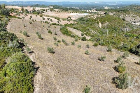 Terra a Santarem, Santarem, Santarem - € 24.000 | Ref: 146994 - foto 19