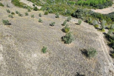 Terra a Santarem, Santarem, Santarem - € 24.000 | Ref: 146994 - foto 20