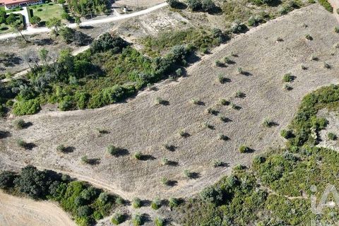 Terra a Santarem, Santarem, Santarem - € 24.000 | Ref: 146994 - foto 21