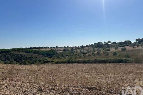 Terra a Santarem, Santarem, Santarem - € 24.000 | Ref: 146994 - foto 22