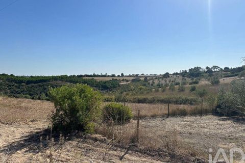 Terra a Santarem, Santarem, Santarem - € 24.000 | Ref: 146994 - foto 23