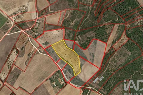 Terra a Santarem, Santarem, Santarem - € 24.000 | Ref: 146994 - foto 24