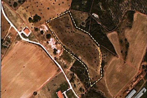 Terra a Santarem, Santarem, Santarem - € 24.000 | Ref: 146994 - foto 25