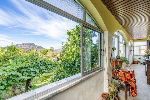 Villa a Paradela, Vila Real, Paradela - € 299.000 | Ref: ZMPT581842 - foto 30