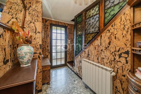 Villa a Paradela, Vila Real, Paradela - € 299.000 | Ref: ZMPT581842 - foto 46