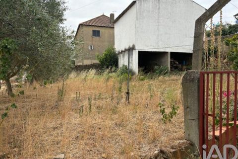 Byhus i Mogadouro, Braganca, Mogadouro - € 65.000 | Ref: 128502 - foto 16