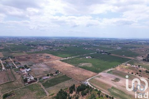 Terra a Palmela, Setubal, Palmela - € 368.000 | Ref: 735557 - foto 3