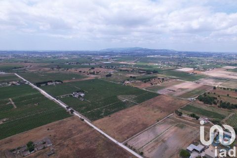 Terra a Palmela, Setubal, Palmela - € 368.000 | Ref: 735557 - foto 4