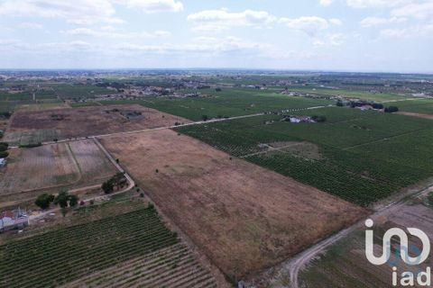 Terra a Palmela, Setubal, Palmela - € 368.000 | Ref: 735557 - foto 5