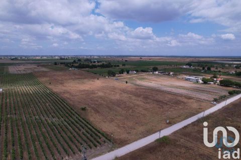 Terra a Palmela, Setubal, Palmela - € 368.000 | Ref: 735557 - foto 11