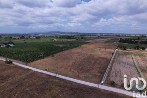 Terra a Palmela, Setubal, Palmela - € 368.000 | Ref: 735557 - foto 12