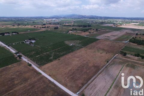Terra a Palmela, Setubal, Palmela - € 368.000 | Ref: 735557 - foto 13